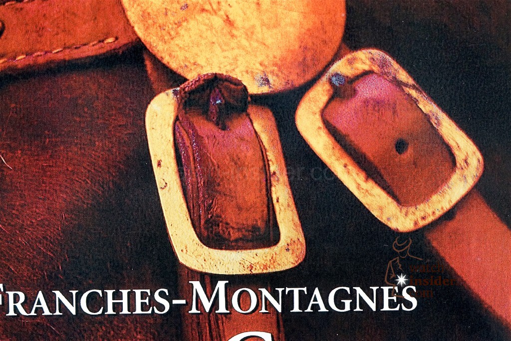 The rectangular buckle on the show bridle of the only Swiss horse breed, the Franches-Montagnes