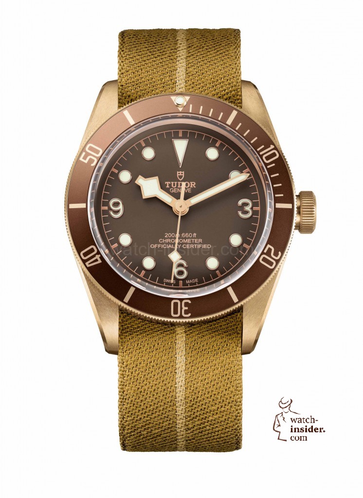 Tudor Black Bay Bronze